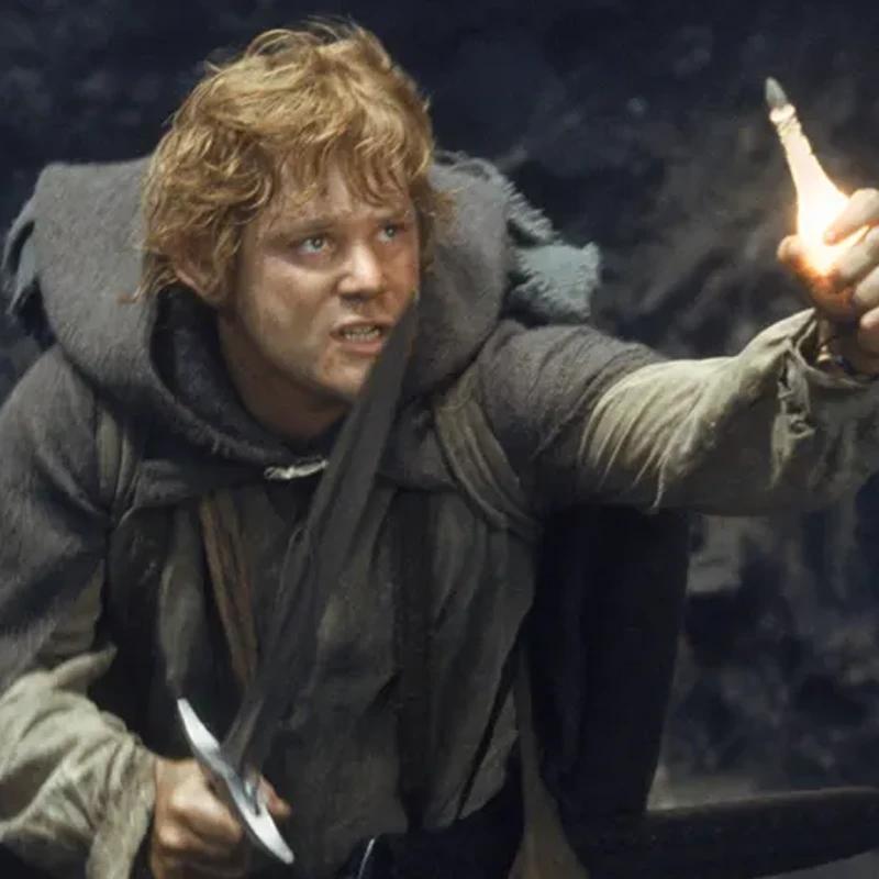 Sean Astin as Samwise Gamgee in Lord of the Rings